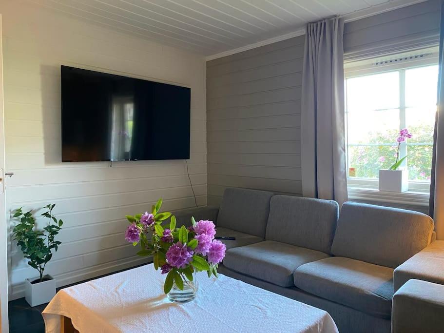 Cosy And Well-Equipped Apartment With Free Parking 特隆赫姆 外观 照片