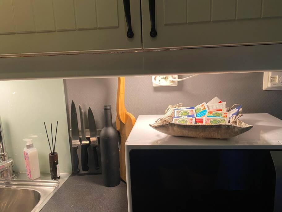 Cosy And Well-Equipped Apartment With Free Parking 特隆赫姆 外观 照片