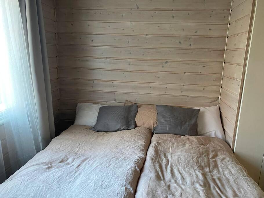 Cosy And Well-Equipped Apartment With Free Parking 特隆赫姆 外观 照片