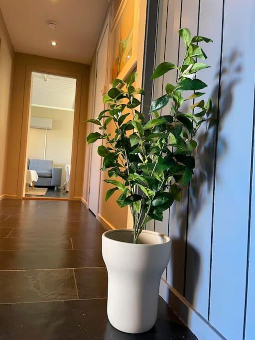 Cosy And Well-Equipped Apartment With Free Parking 特隆赫姆 外观 照片
